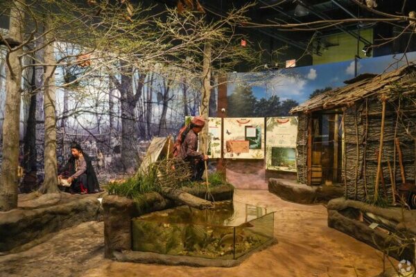 Kenosha Public Museum - Image 5